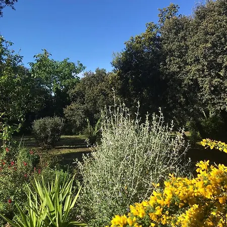 Guest house Les Jardins D'holi Proche Uzes Garrigues-et-Sainte-Eulalie