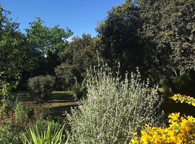 Penzion Les Jardins D'holi Proche Uzes Garrigues-et-Sainte-Eulalie
